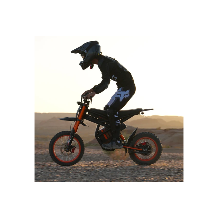 Elektrinis mini motociklas Riding Times GT54 1000W (max 2000W) 48V 27Ah